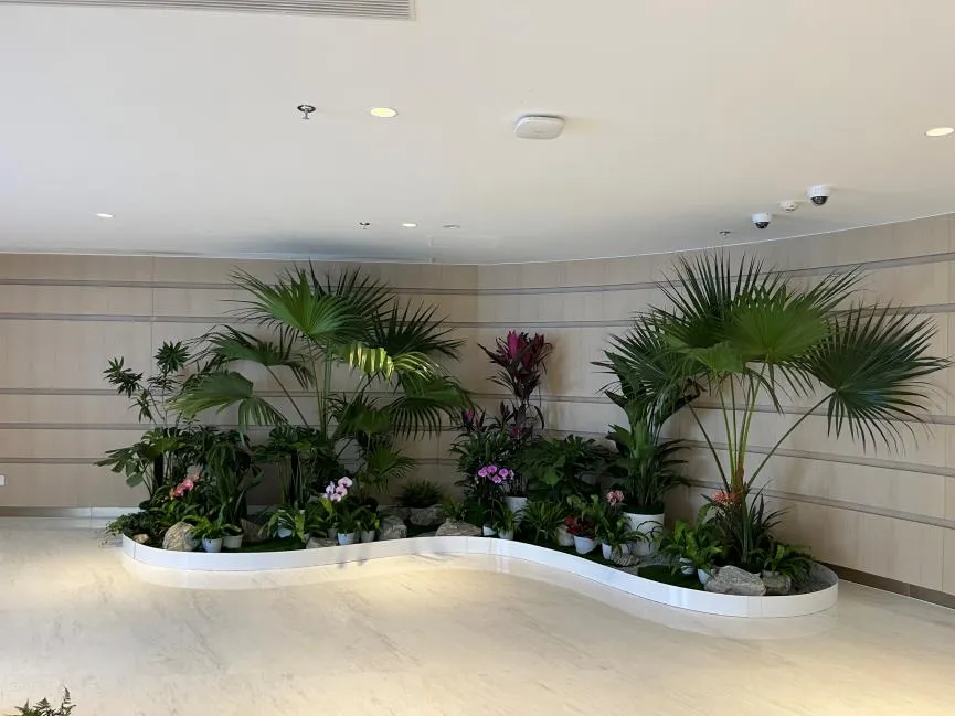 租余姚花木，轻松打造独具特色的绿色生活空间